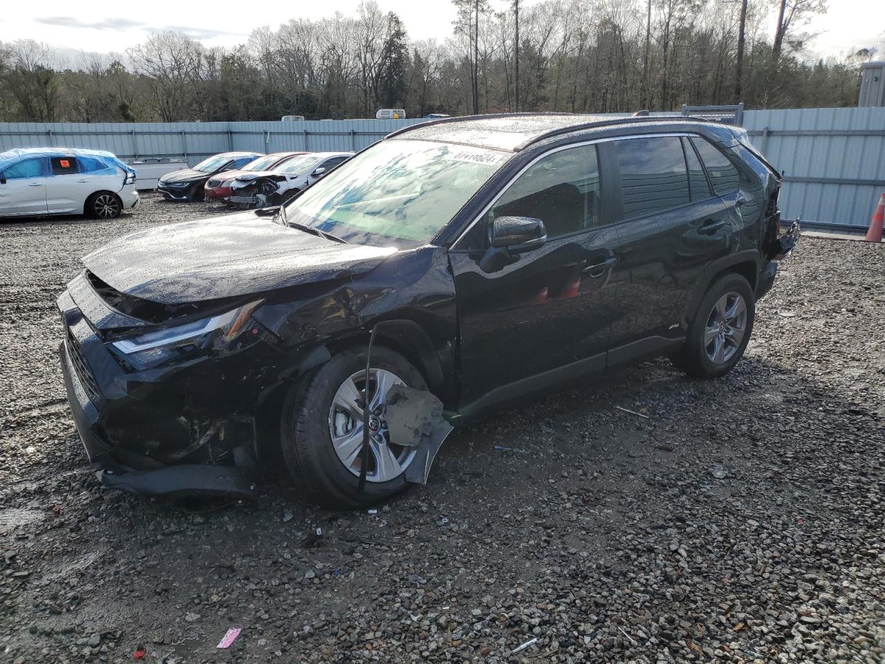 TOYOTA RAV4 XLE 2025