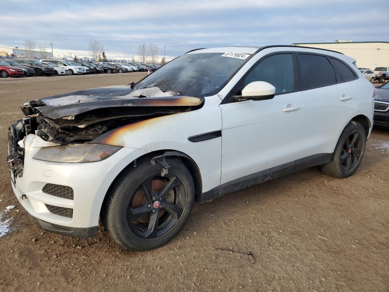 JAGUAR F-PACE PRE 2019