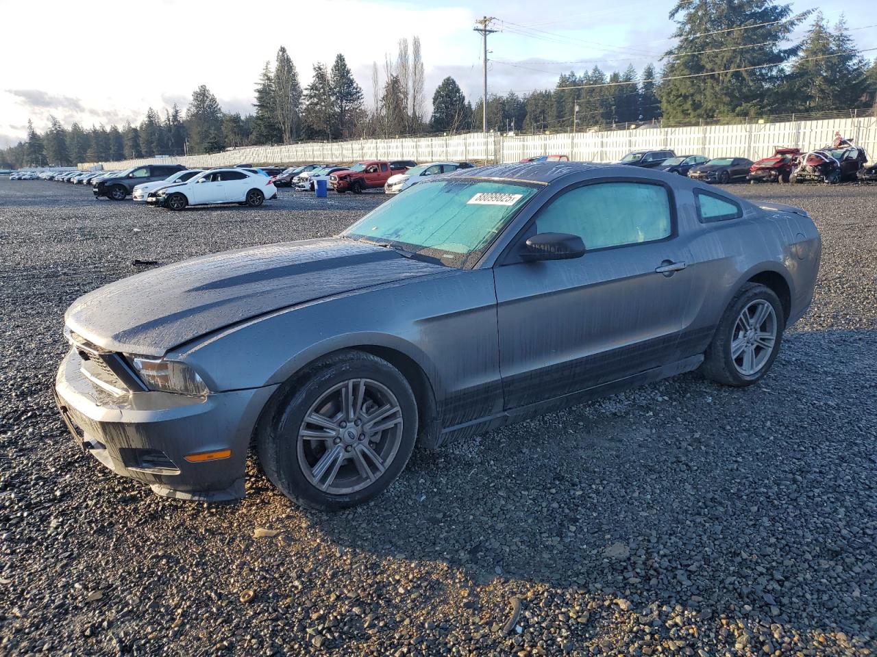 FORD MUSTANG 2010