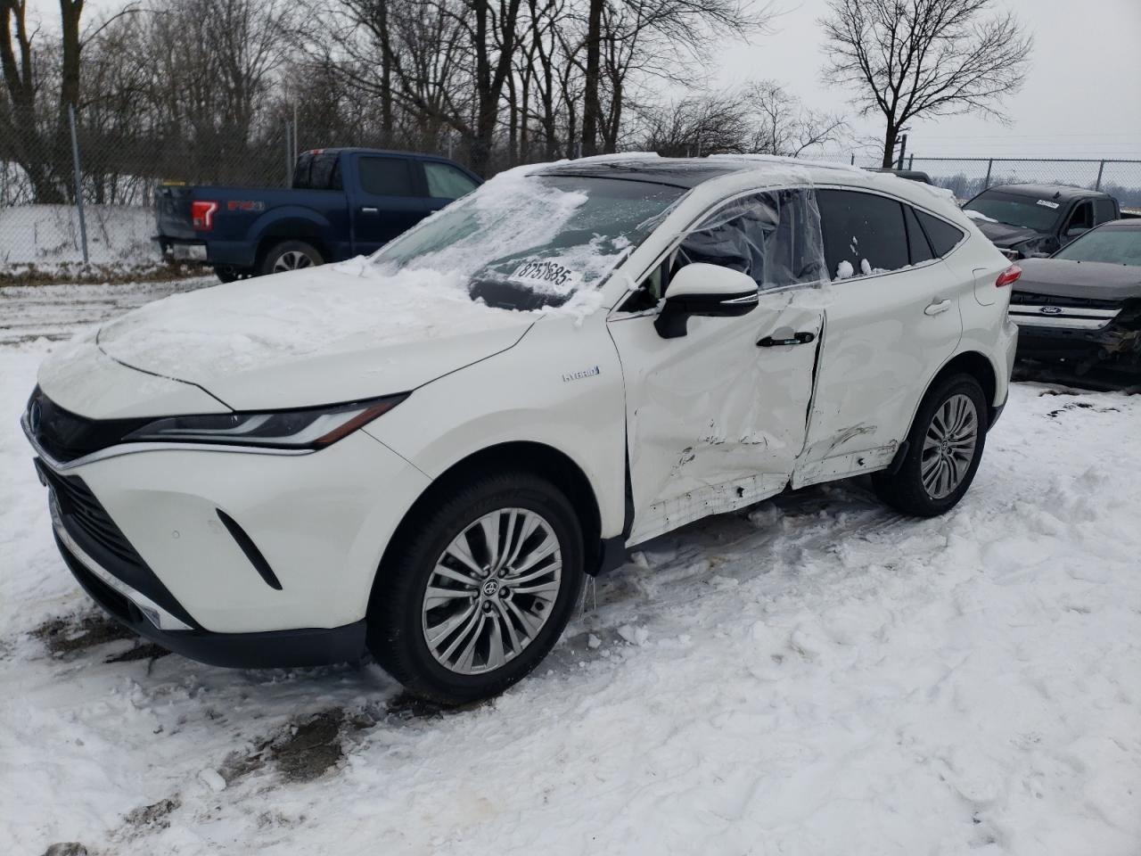 TOYOTA VENZA LE 2021