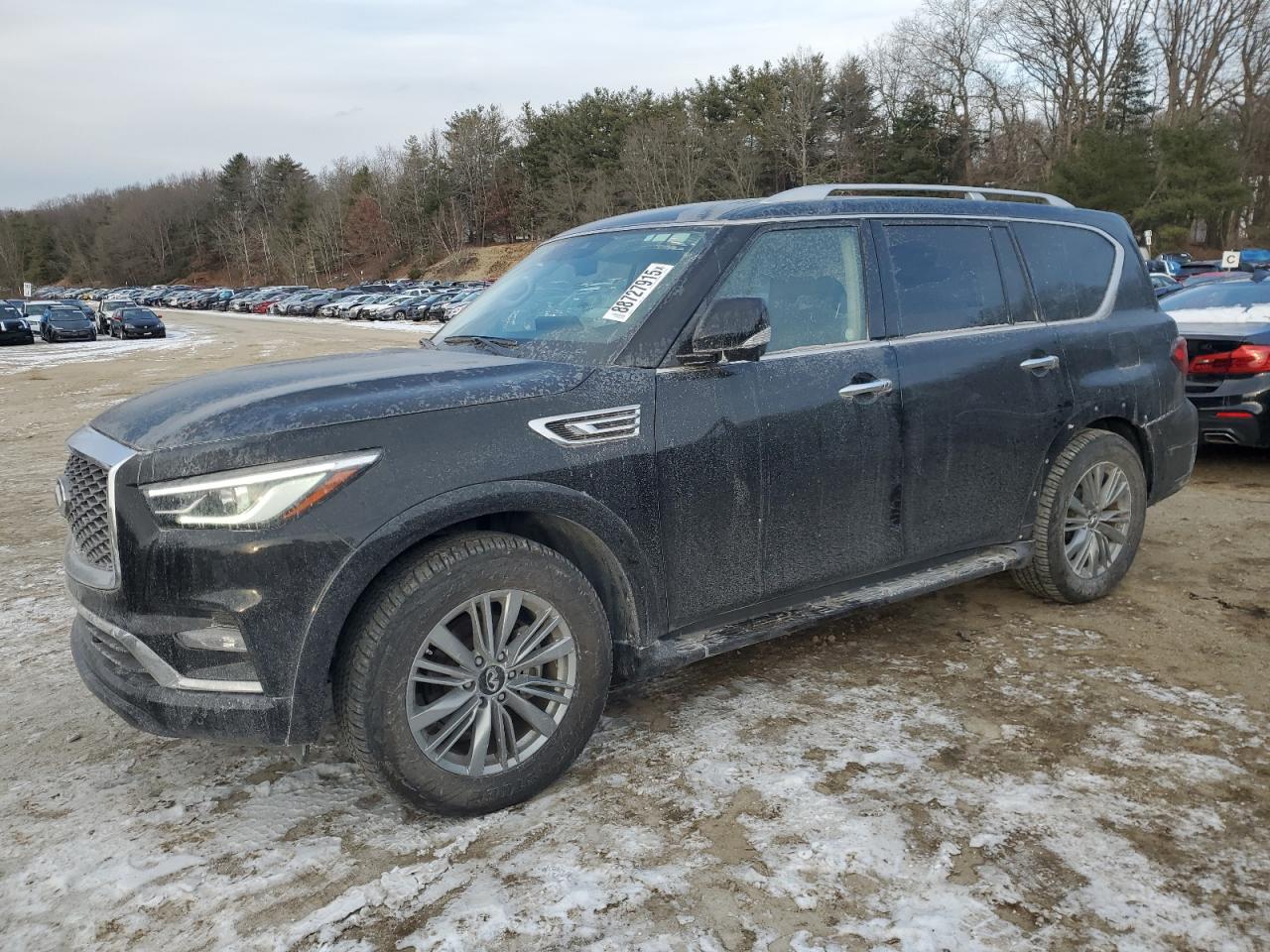 INFINITI QX80 LUXE 2023