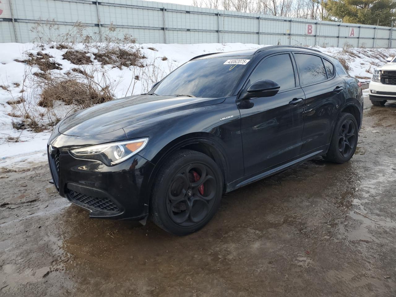 ALFA ROMEO STELVIO TI 2023