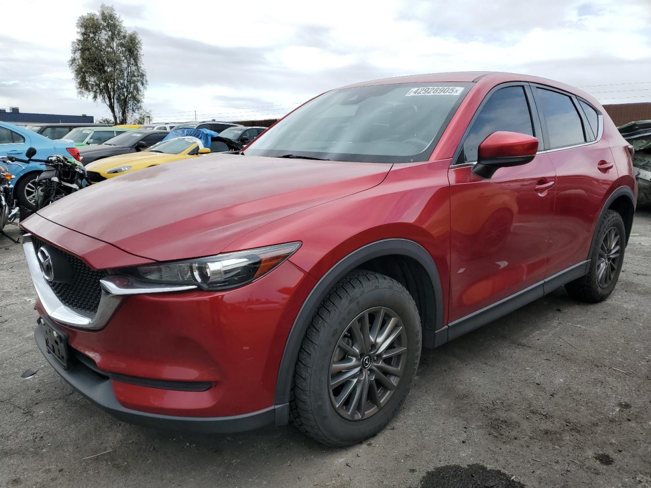 MAZDA CX-5 SPORT 2017