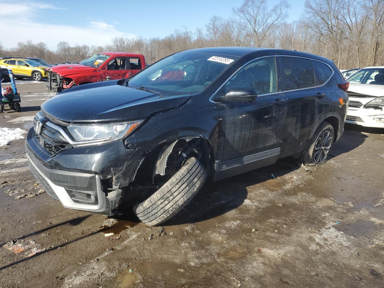HONDA CR-V EX 2020