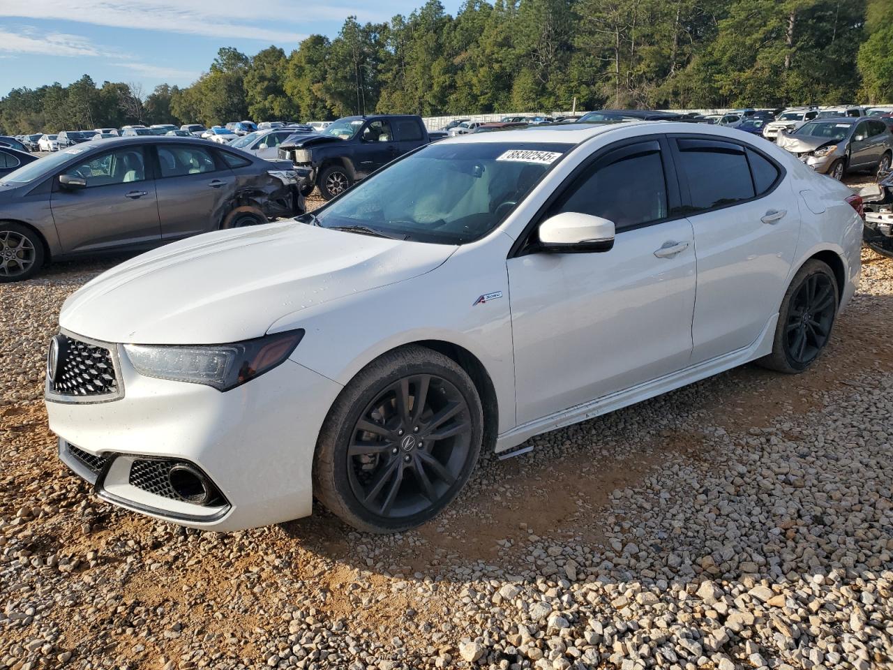 ACURA TLX TECHNO 2020