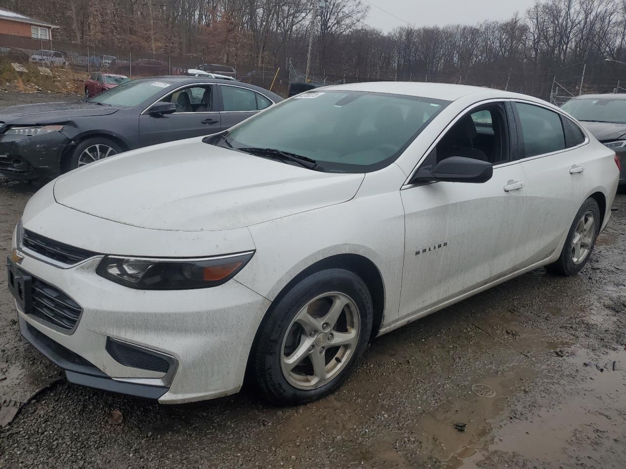 CHEVROLET MALIBU LS 2017