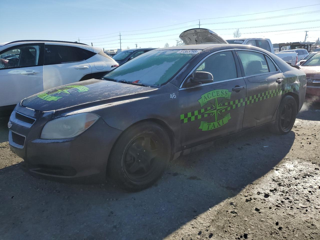 CHEVROLET MALIBU LS 2010