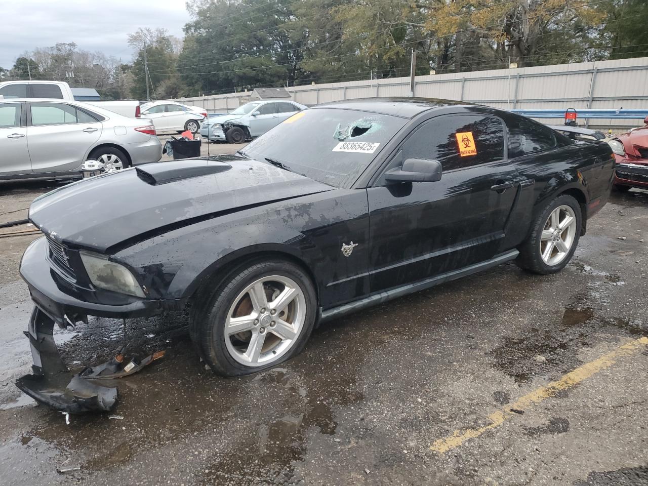 FORD MUSTANG 2009