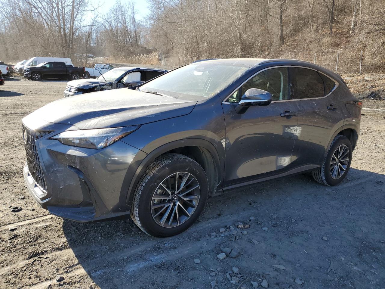 Lexus Nx 350 2023