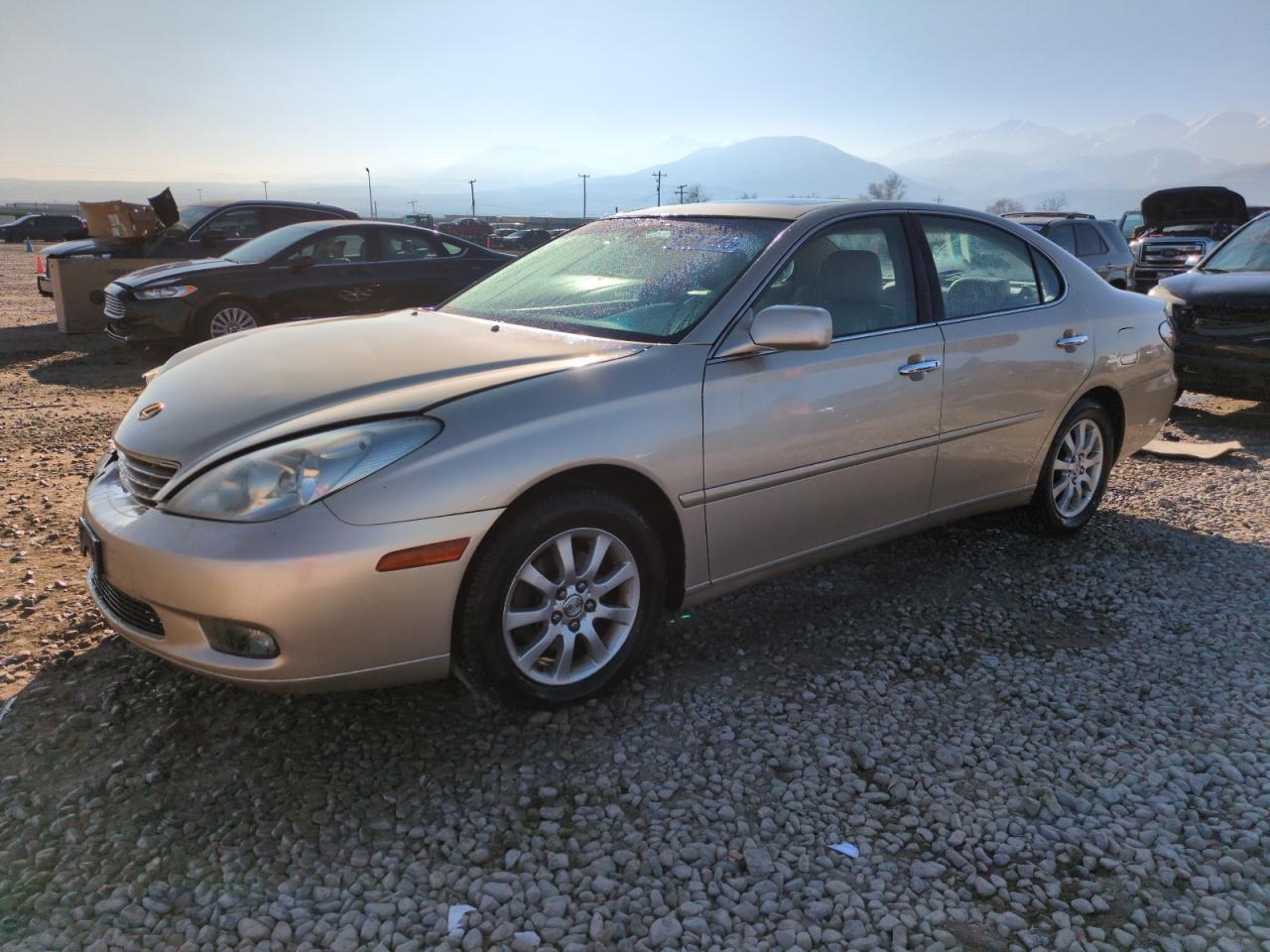 LEXUS ES 300 2002