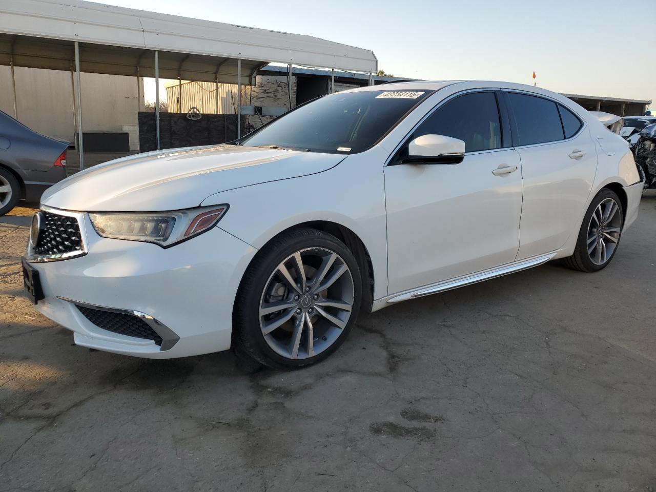 ACURA TLX TECHNO 2019