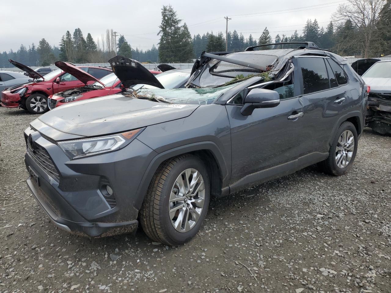 TOYOTA RAV4 LIMIT 2019