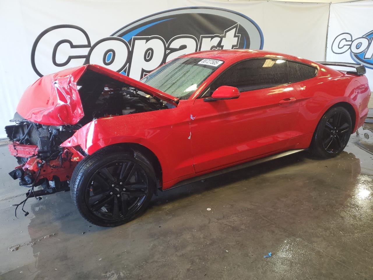 FORD MUSTANG 2017