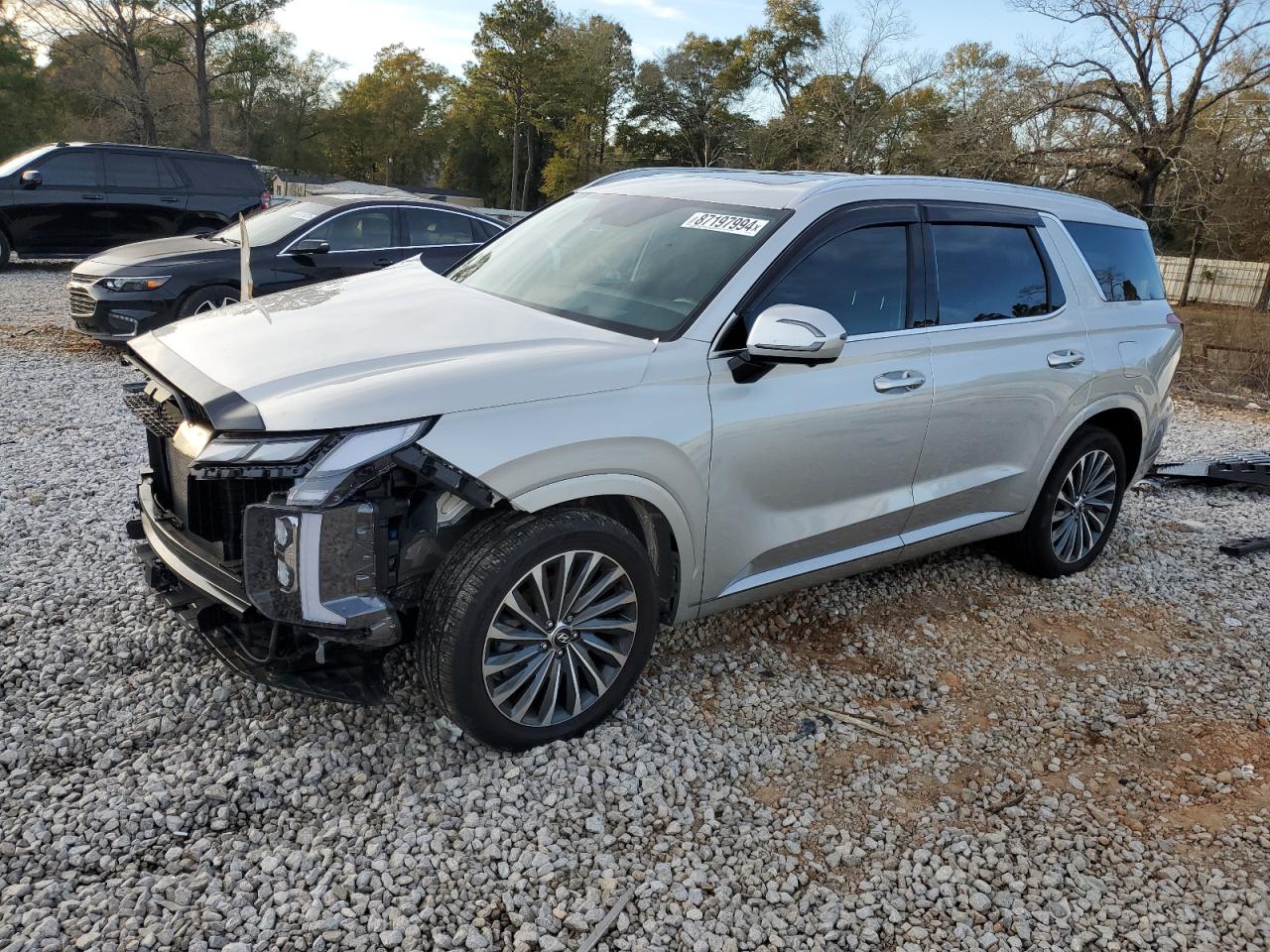 HYUNDAI PALISADE C 2024