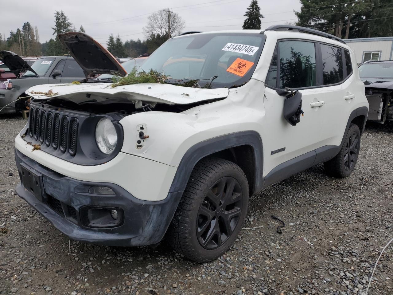 JEEP RENEGADE L 2017
