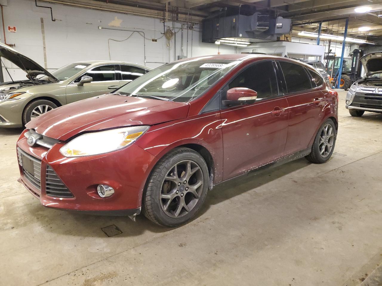 FORD FOCUS SE 2014