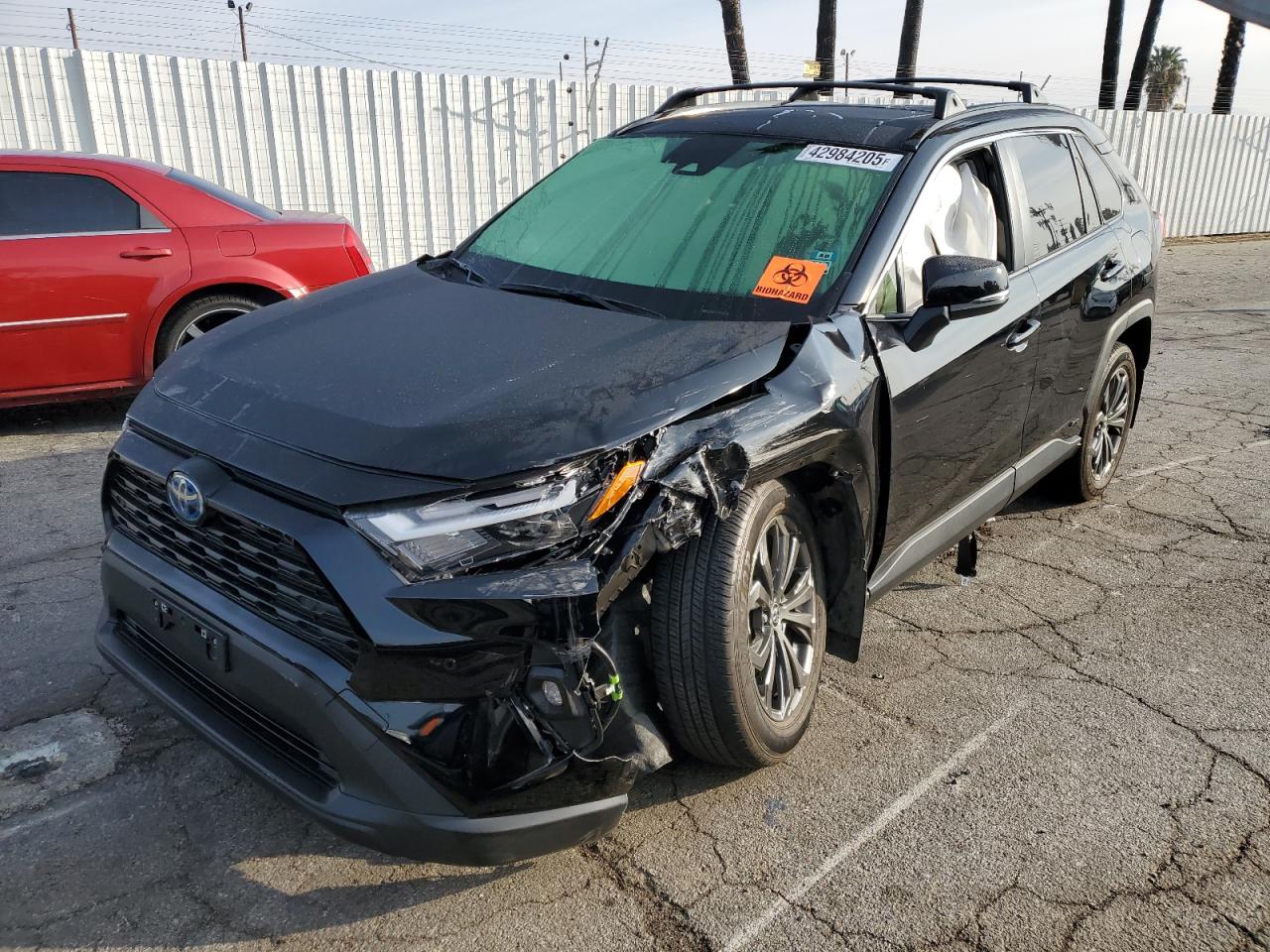 TOYOTA RAV4 XLE P 2024
