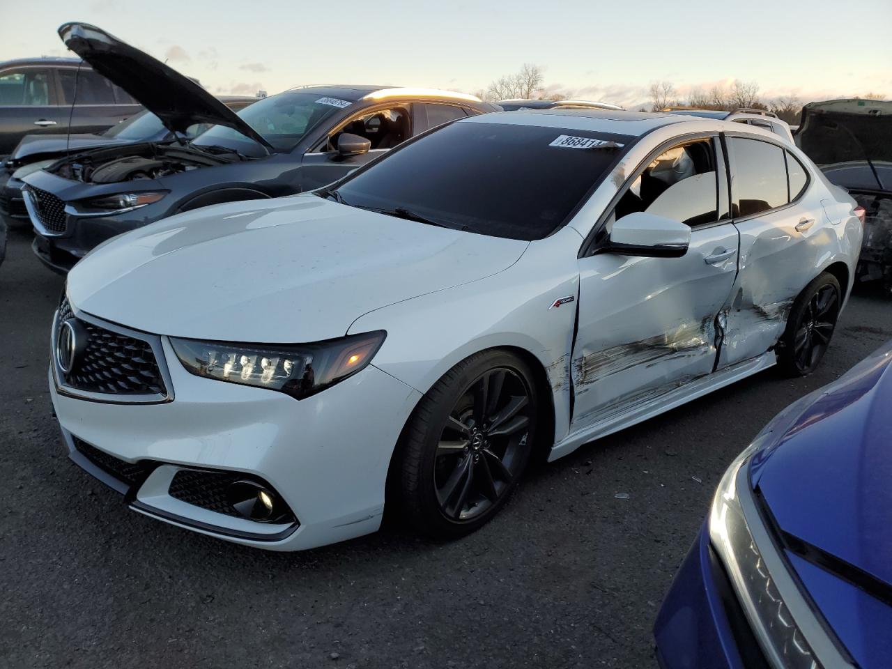 ACURA TLX TECHNO 2020