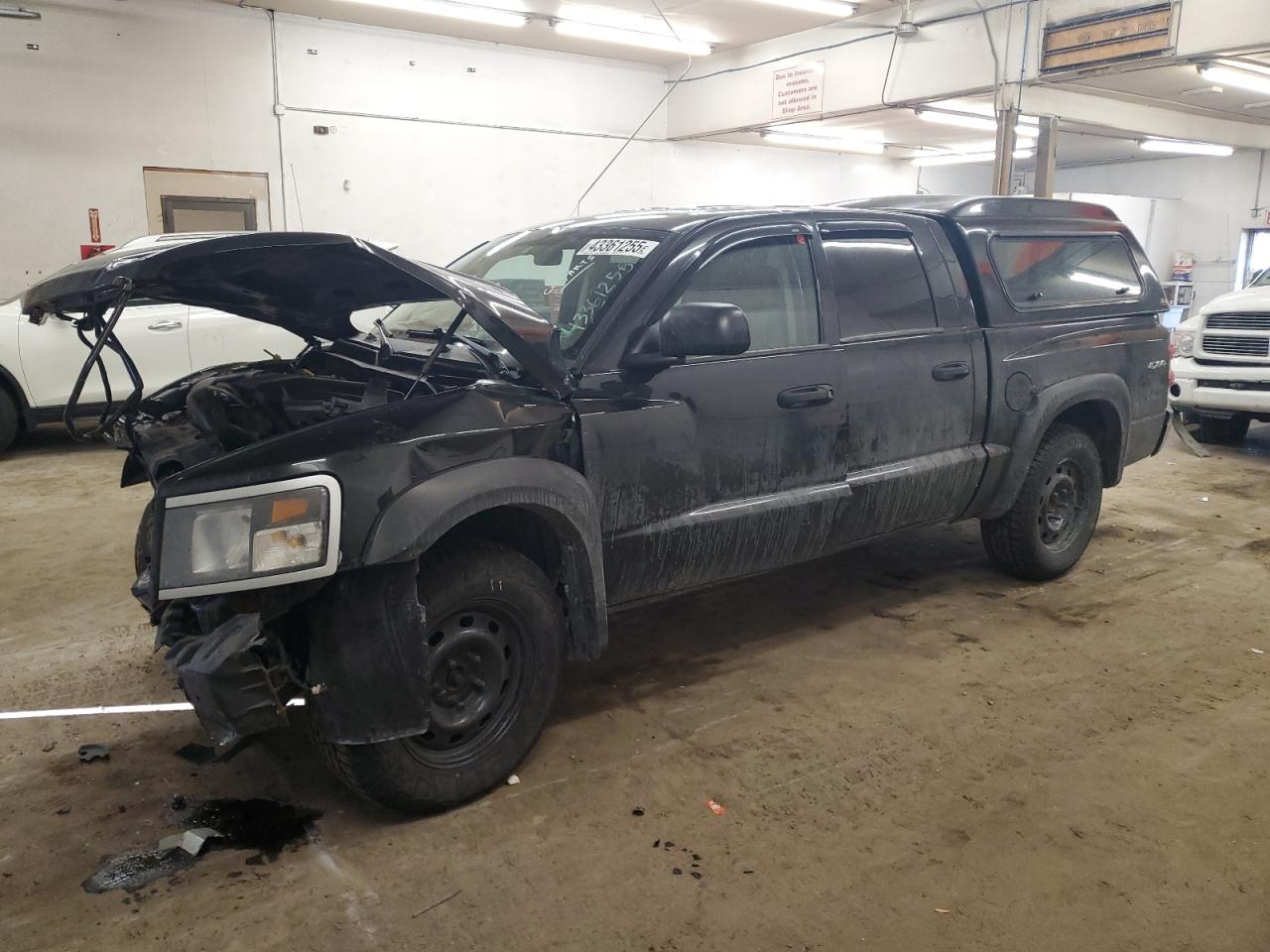 DODGE DAKOTA SLT 2011