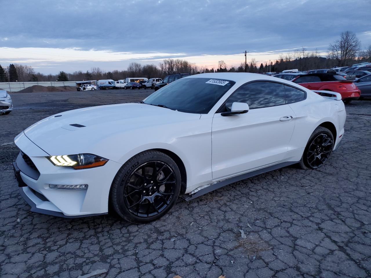 FORD MUSTANG 2019