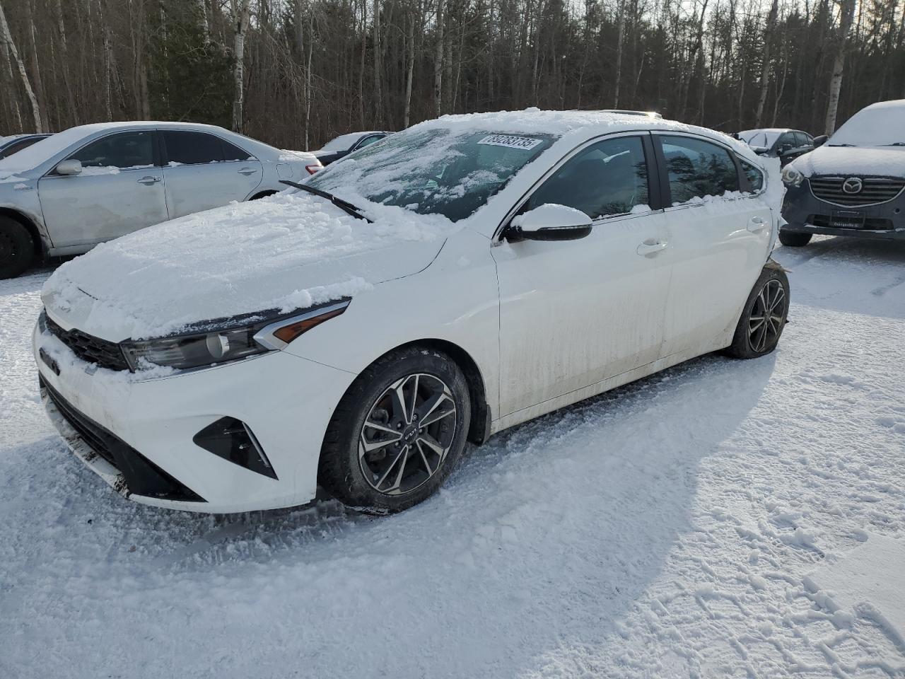 KIA FORTE EX 2024