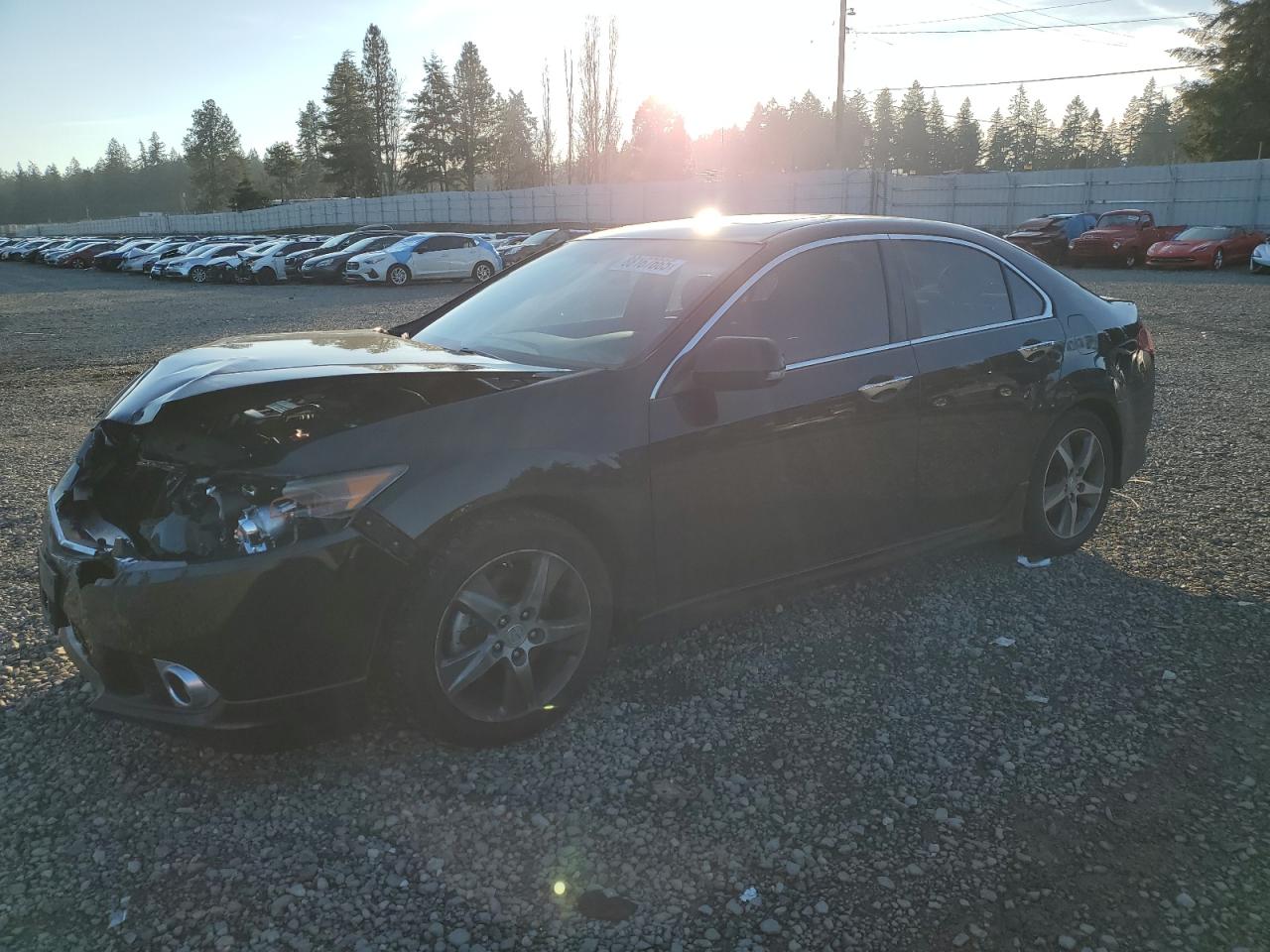 ACURA TSX SE 2013