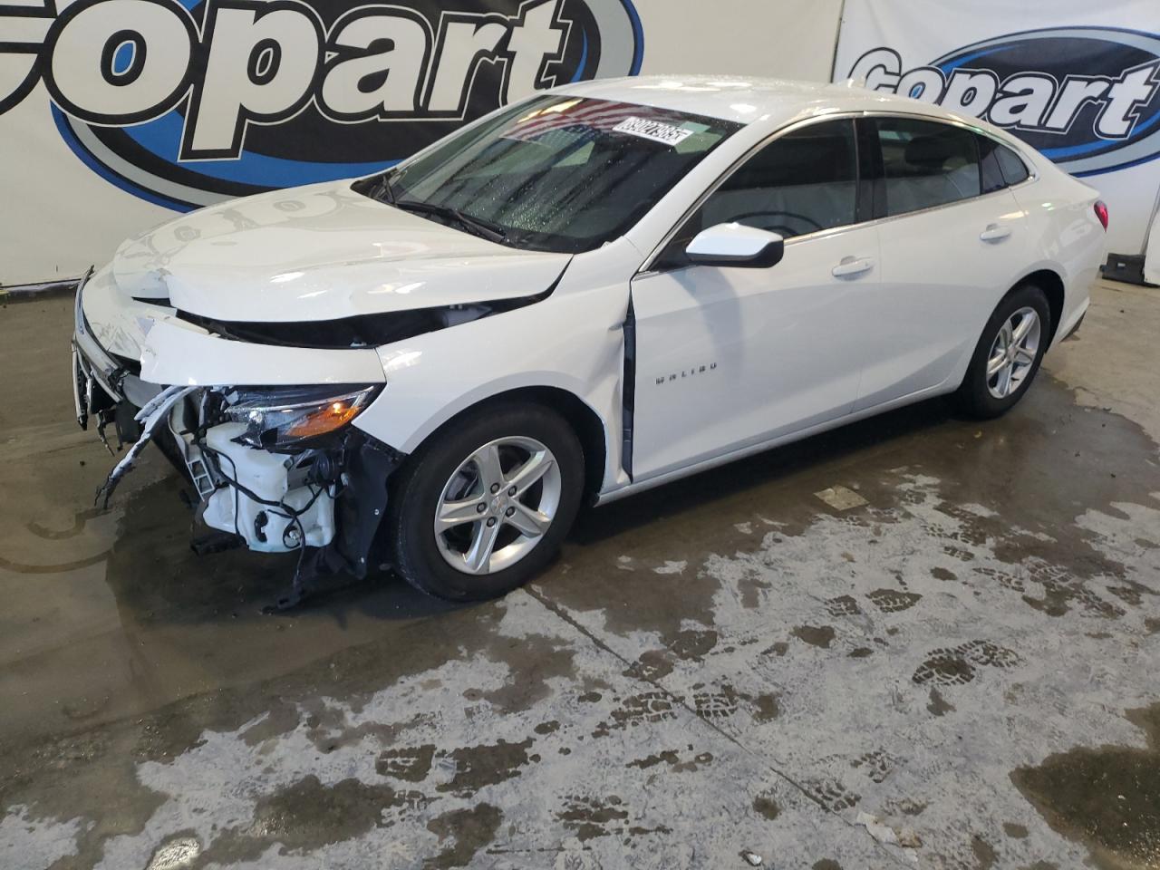 CHEVROLET MALIBU LT 2023