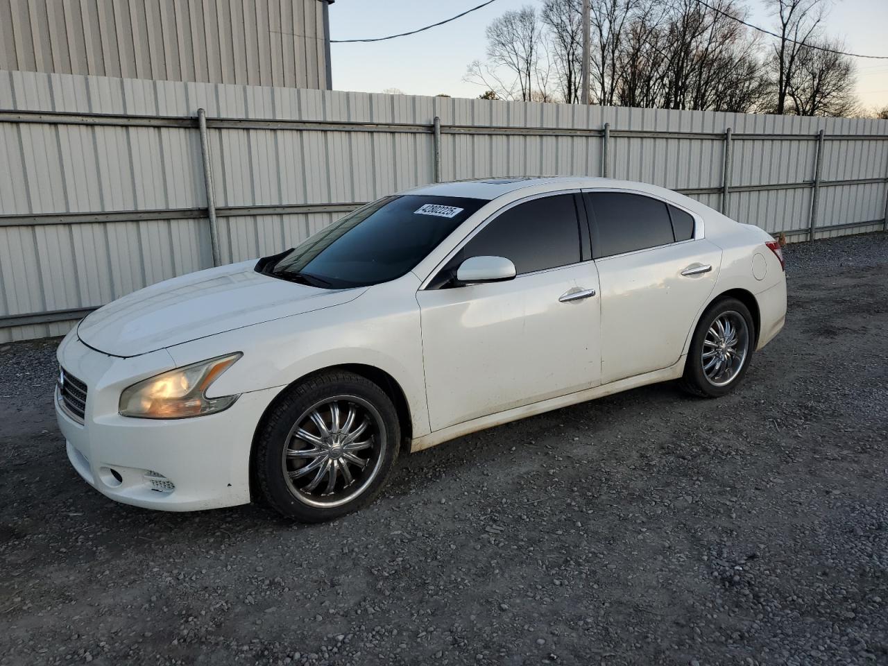 NISSAN MAXIMA S 2011