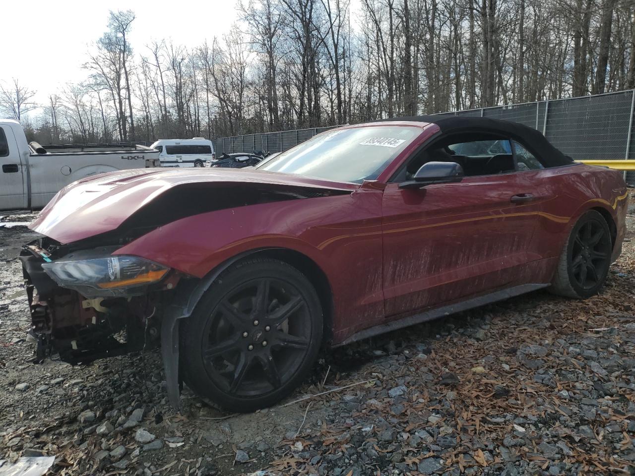 FORD MUSTANG 2019