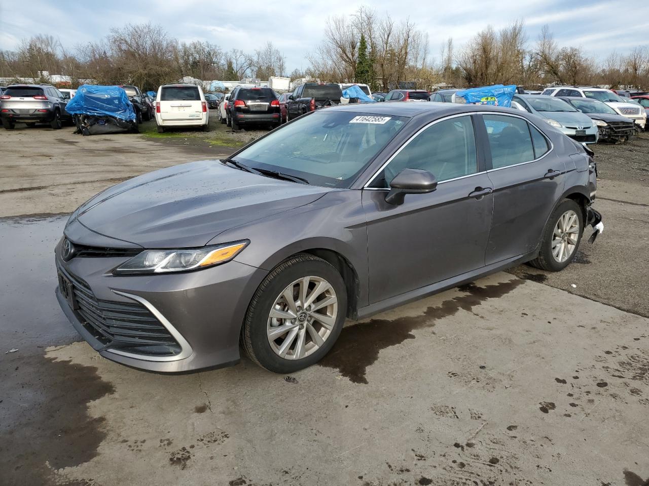 TOYOTA CAMRY LE 2023