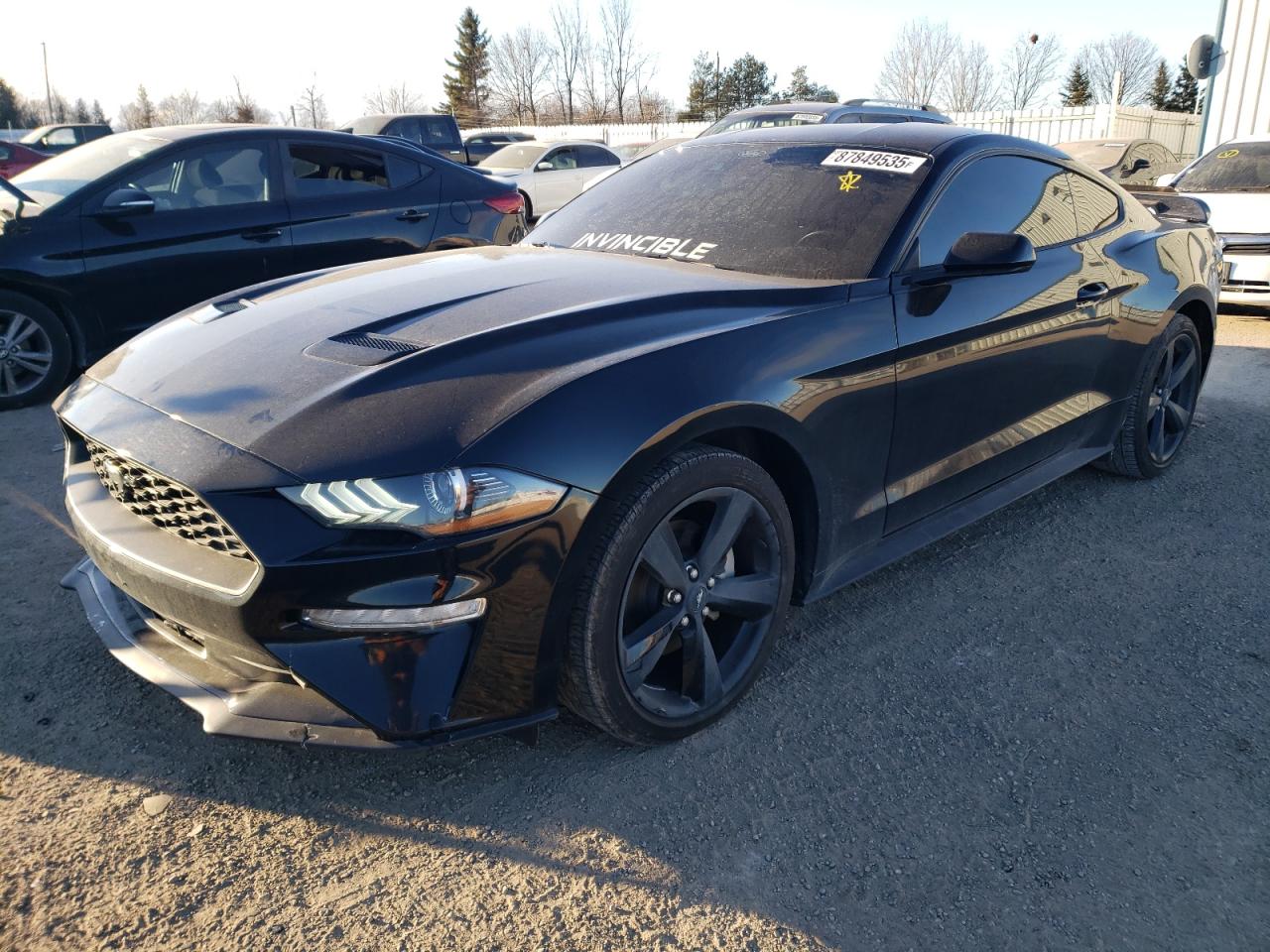 FORD MUSTANG 2023