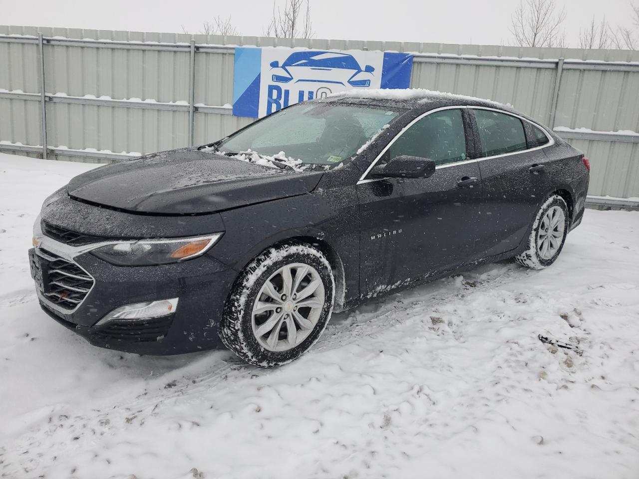 CHEVROLET MALIBU LT 2023