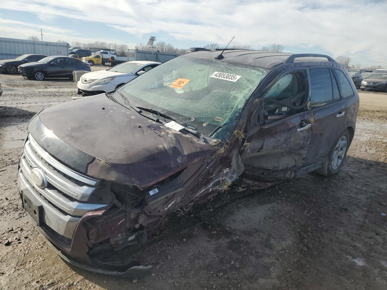 FORD EDGE SEL 2011