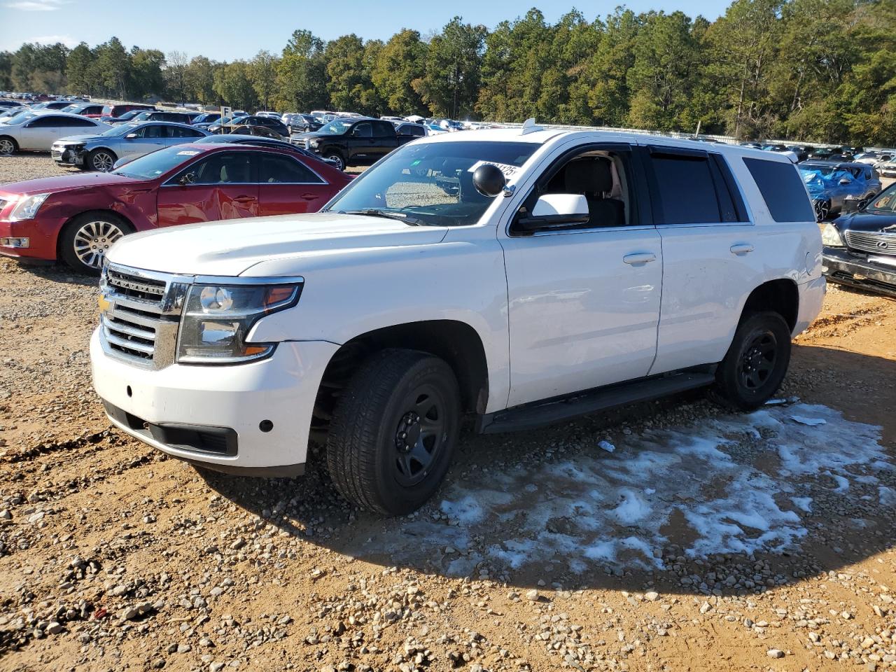 CHEVROLET TAHOE POLI 2020
