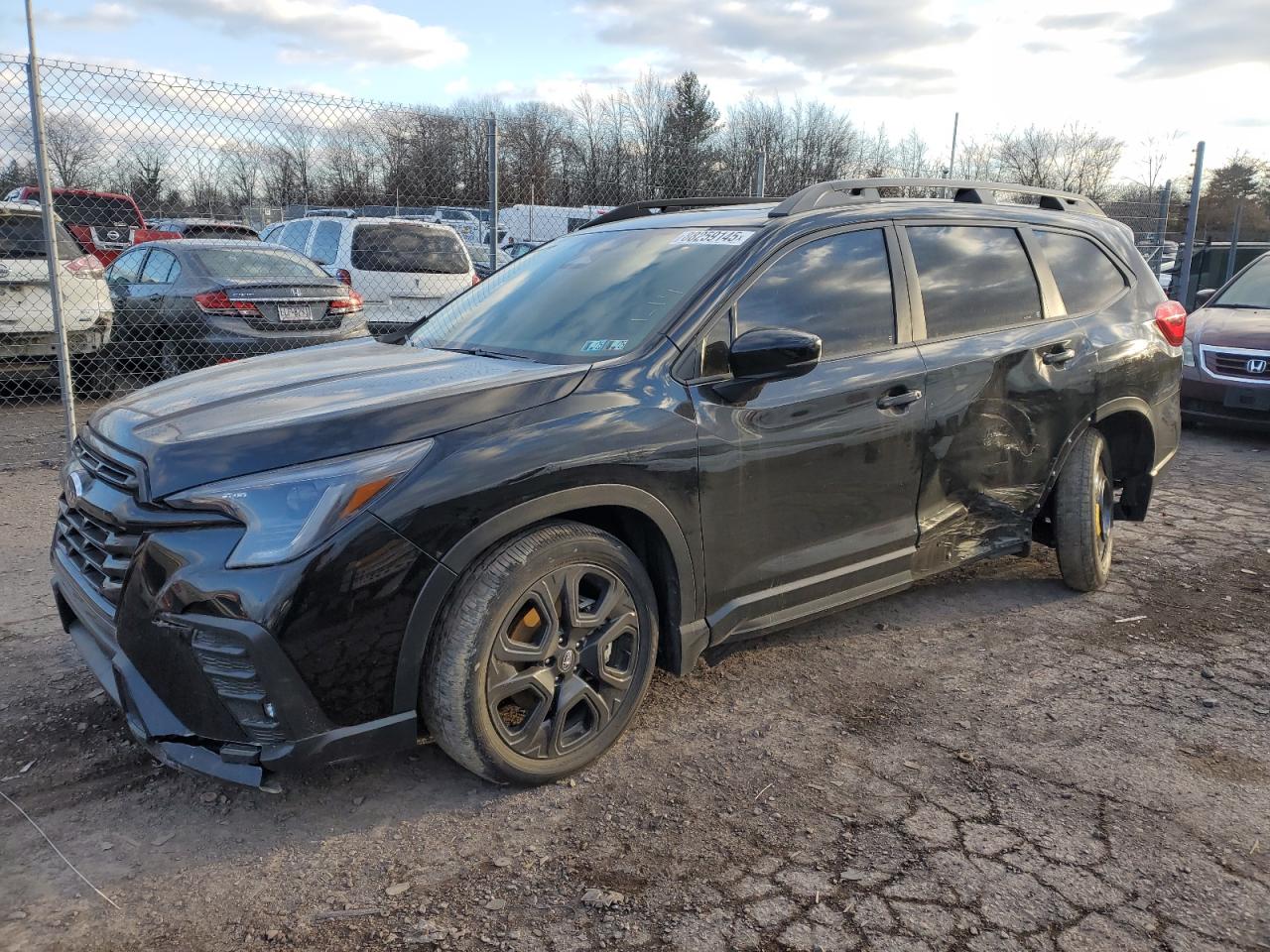 SUBARU ASCENT ONY 2024