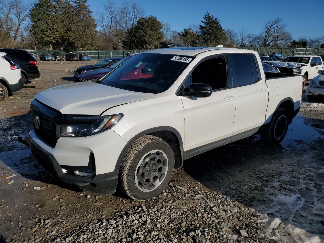 HONDA RIDGELINE 2024