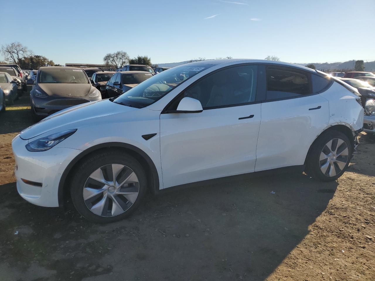 TESLA MODEL Y 2021
