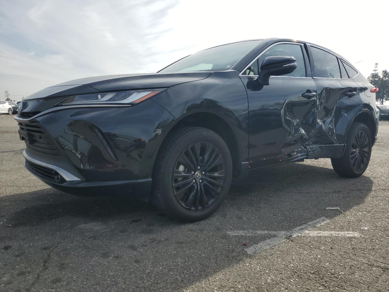 TOYOTA VENZA LE 2024