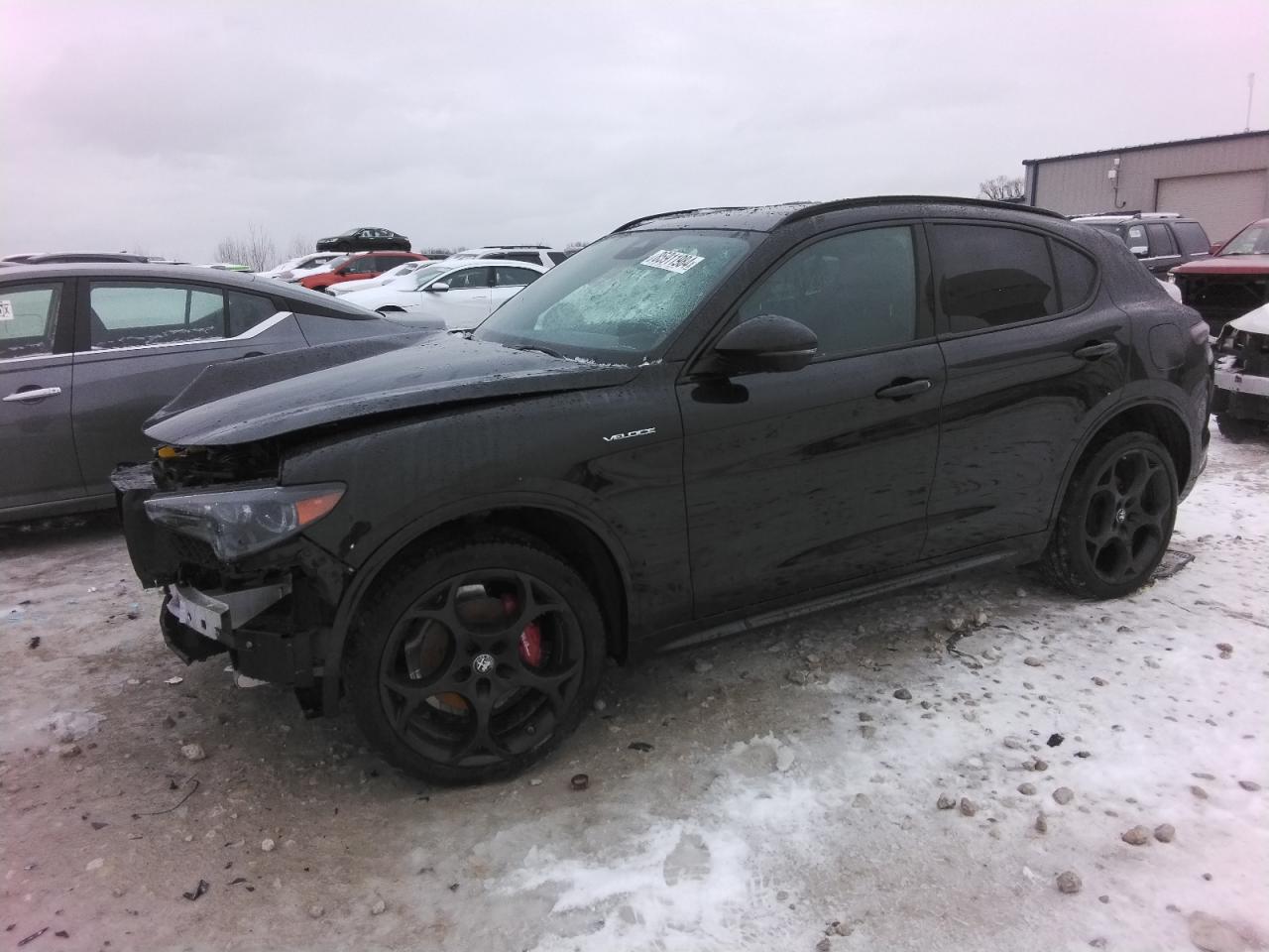 ALFA ROMEO STELVIO TI 2024