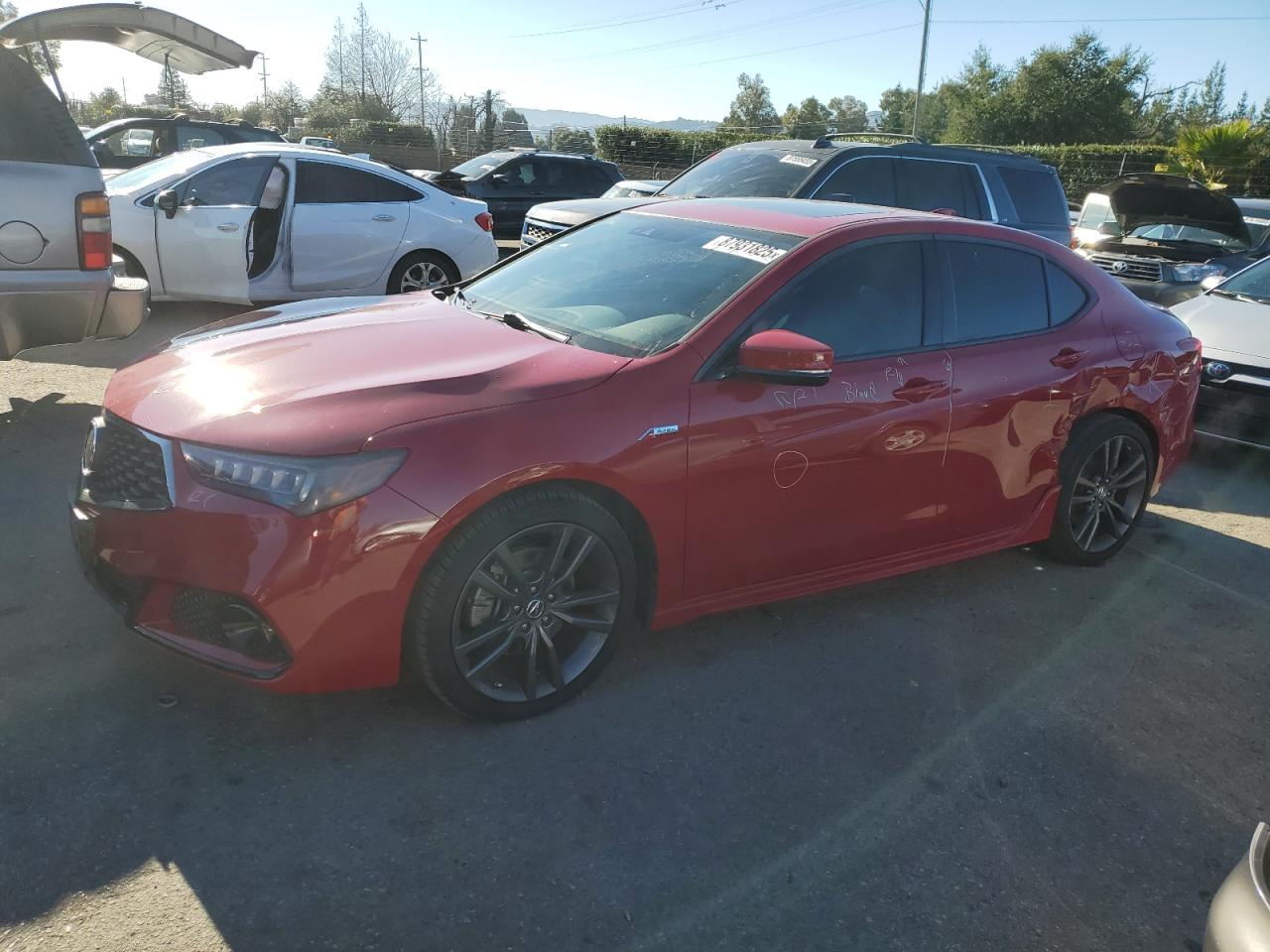 ACURA TLX TECHNO 2019