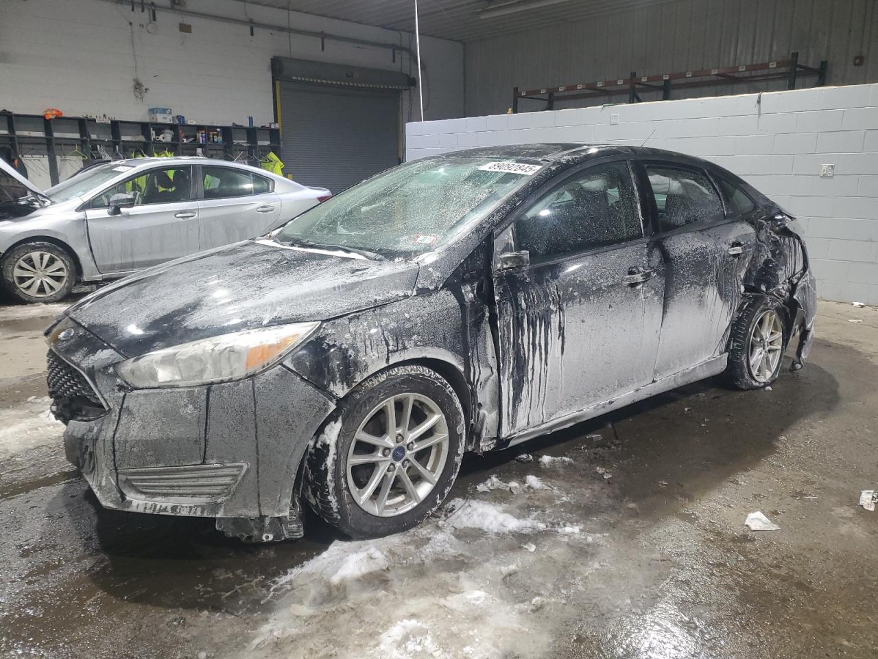 FORD FOCUS SE 2016