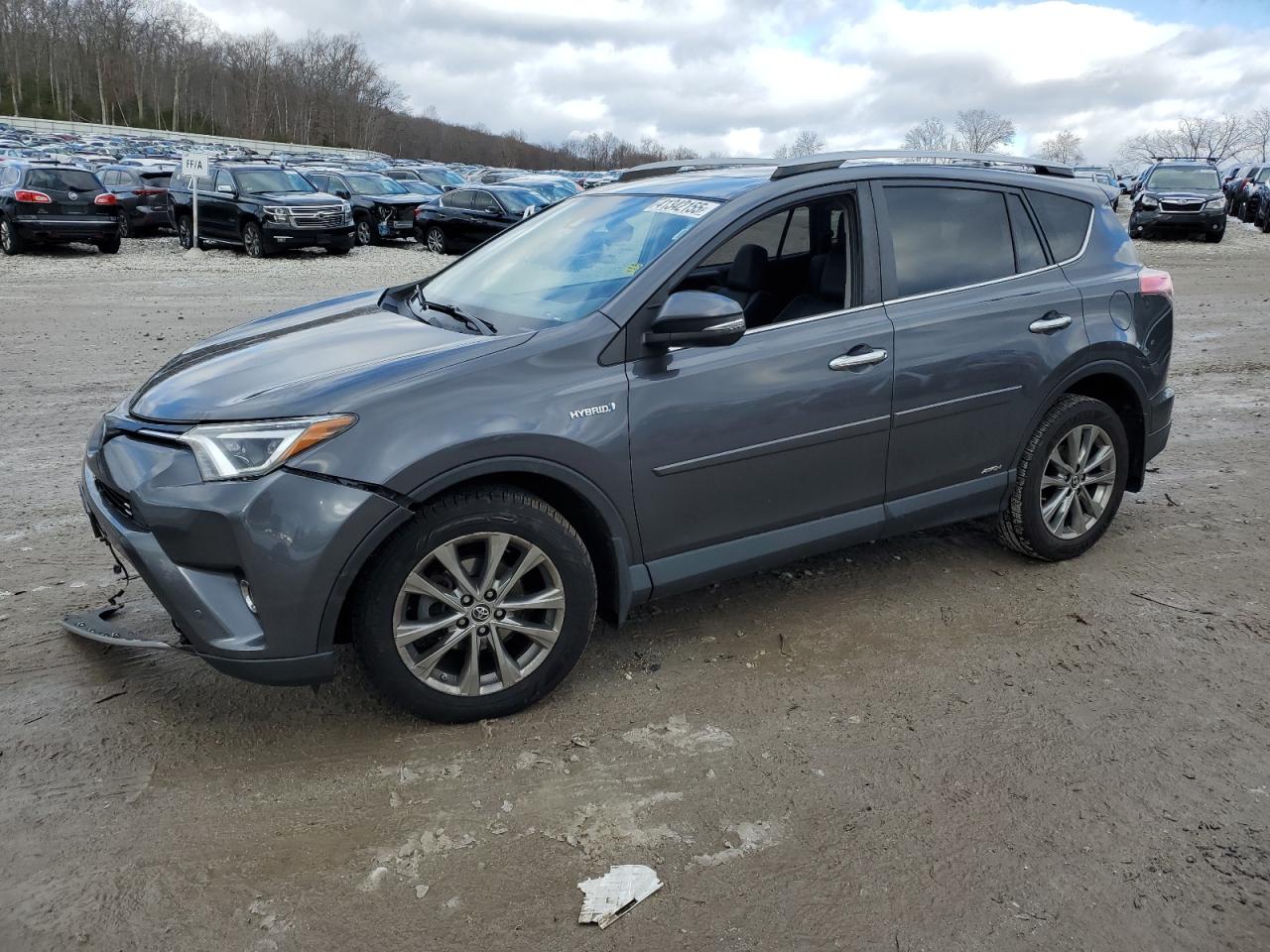 TOYOTA RAV4 HV LI 2017