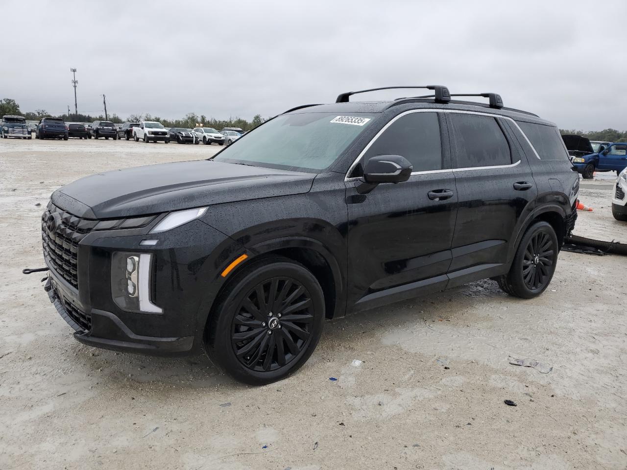 HYUNDAI PALISADE C 2024