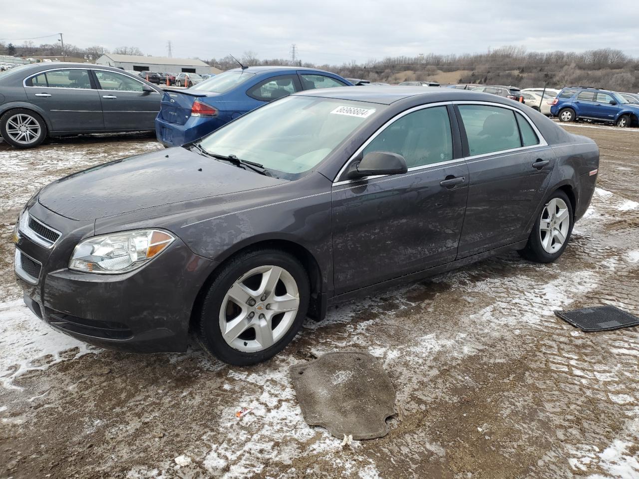 CHEVROLET MALIBU LS 2011