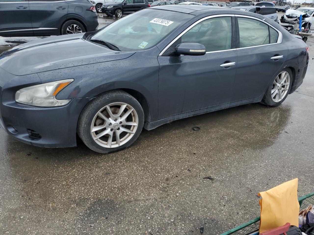 NISSAN MAXIMA 2009