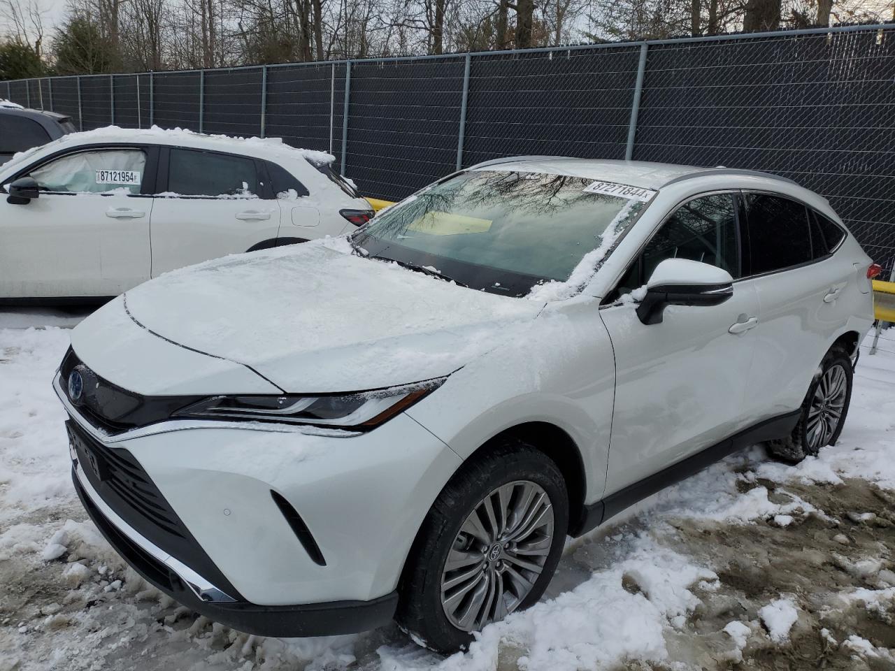 TOYOTA VENZA LE 2024