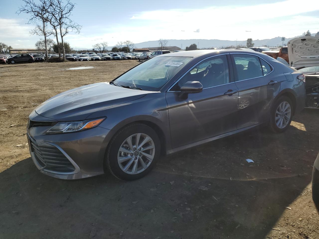 TOYOTA CAMRY LE 2024