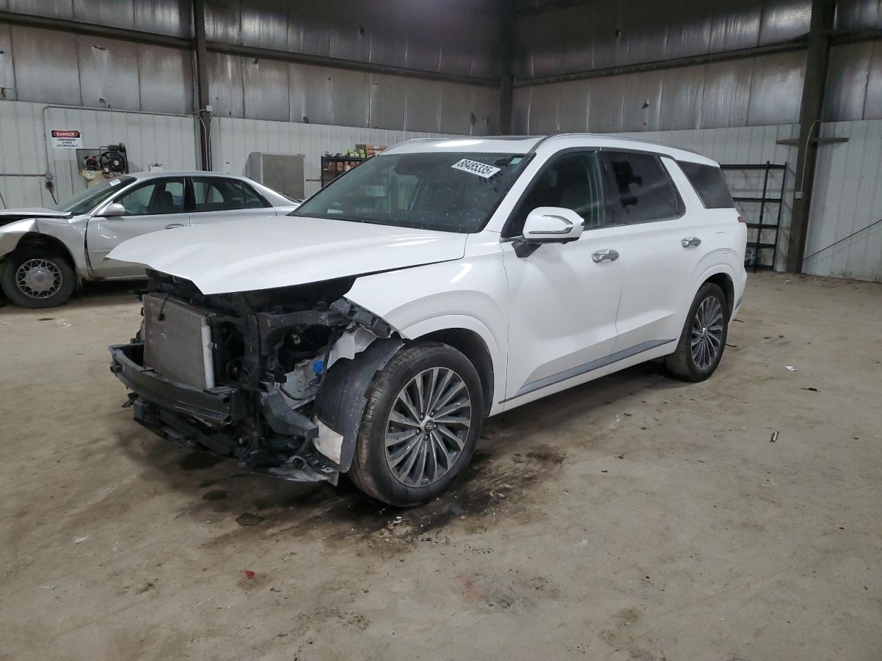 HYUNDAI PALISADE C 2024