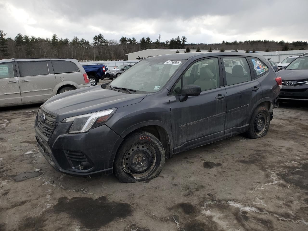 SUBARU FORESTER 2023