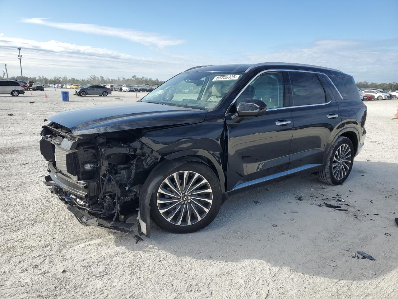 HYUNDAI PALISADE C 2025